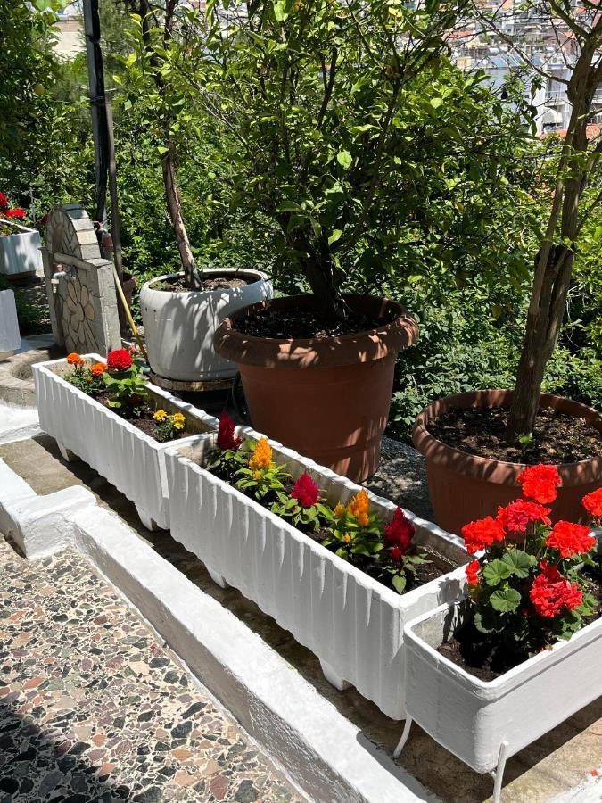 הוילה קאבאלה Vasilis Garden House מראה חיצוני תמונה